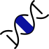Cellular Fluorescence