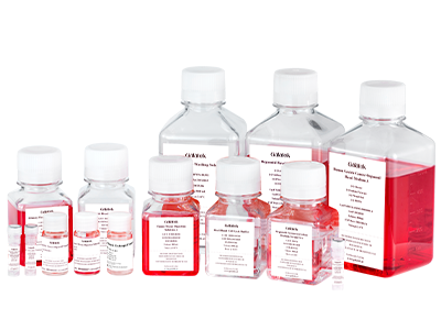Galatek BIOTECH Organoid  Kit