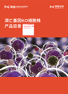 Knockout Cell Line